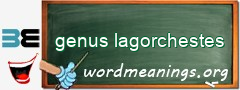 WordMeaning blackboard for genus lagorchestes